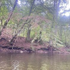 Drawa-w-obiektywie-30