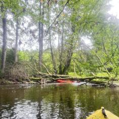 Drawa-w-obiektywie-33