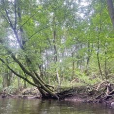 Drawa-w-obiektywie-38