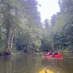 Drawa-w-obiektywie-9