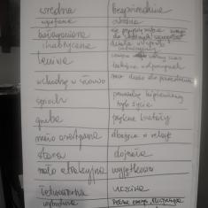 warsztaty-9Easy-Resizecom