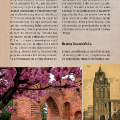 PrzewodnikPyrzycePL-25