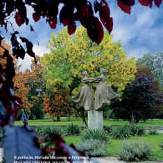 PrzewodnikPyrzycePL-49